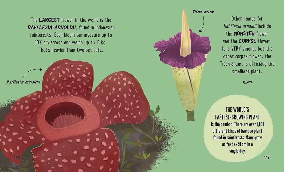 The Small and Mighty Book of Rainforest